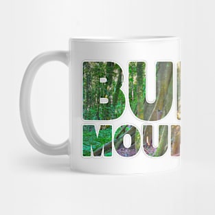 BUNYA MOUNTAINS - Queensland Australia Fig Tree. Mug